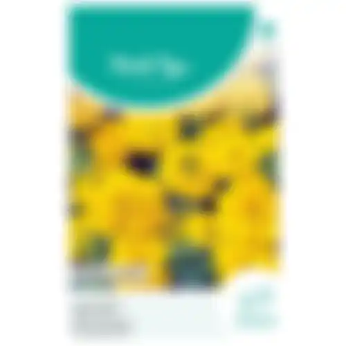 HT Tagetes hoge Afrikaan yellow supreme