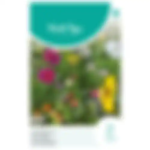 HT Zomerbloemen gemengd
