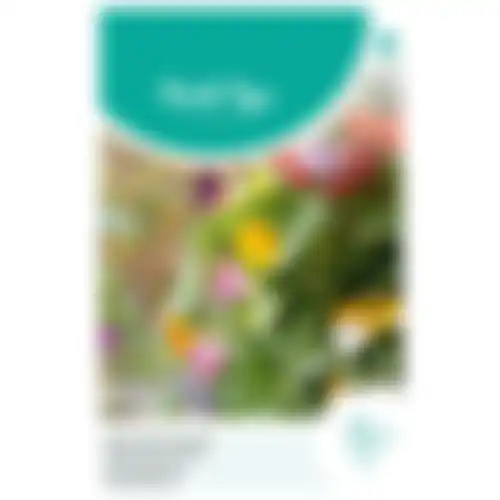 HT Klimplantenmengsel