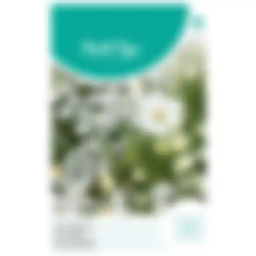 HT Zomerbloemen witte tinten