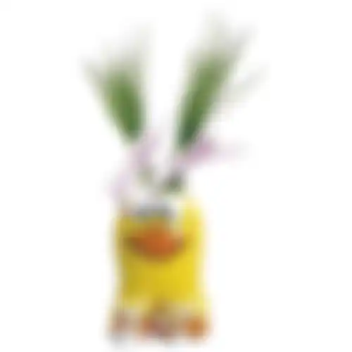 Grow gifts Munakuppi eend