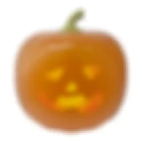 Pompoen sprekend 26cm