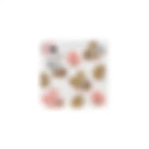 Servet 33x33cm blooming bunnies 20st