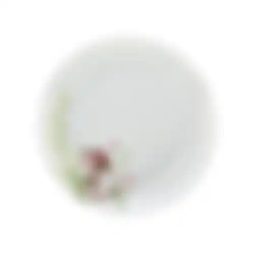 Bord konijn groen 26cm