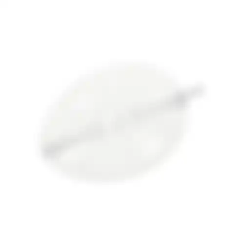 Ei plastic 6cm vulbaar