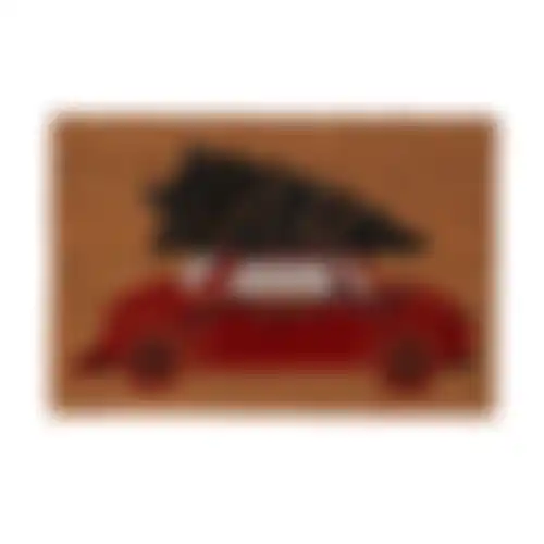 Deurmat kokos car 60x40cm