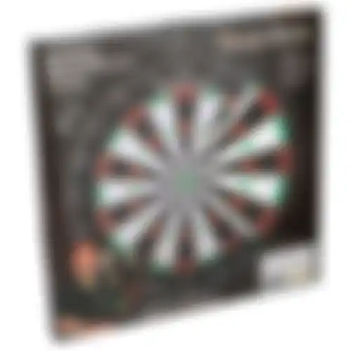 Dartboard 45cm 2.4kg Masterdarts