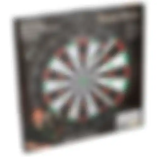 Dartboard 45cm 2.4kg Masterdarts