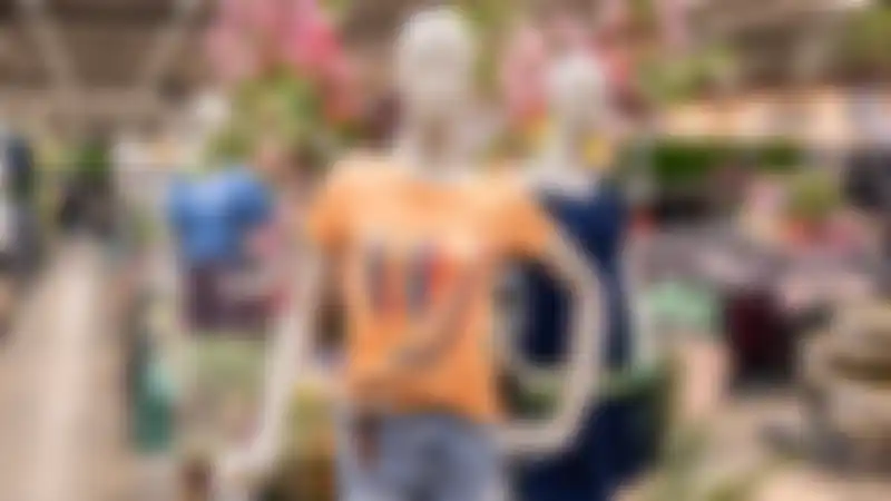 Sfeerbeeld van Budel